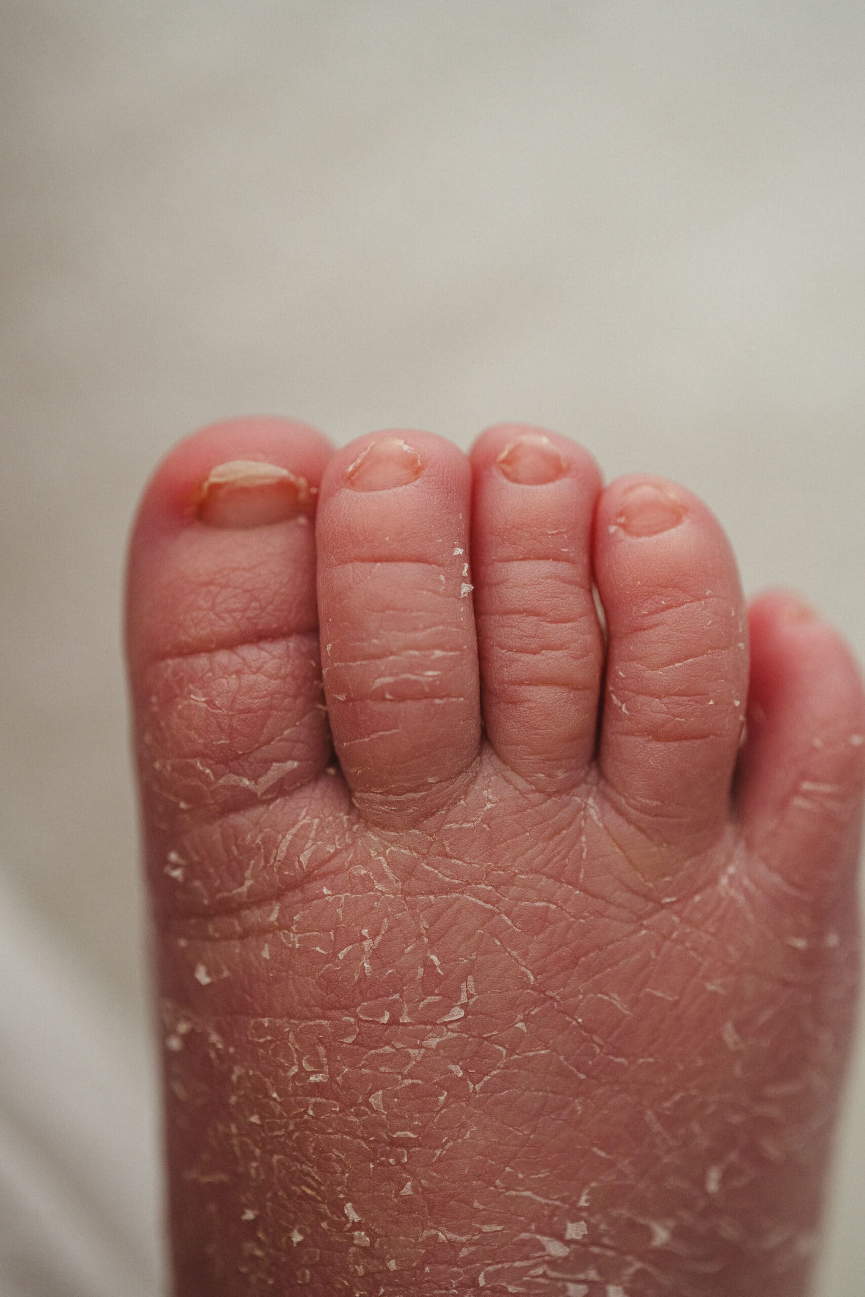 regala-sesion-newborn-barcelona